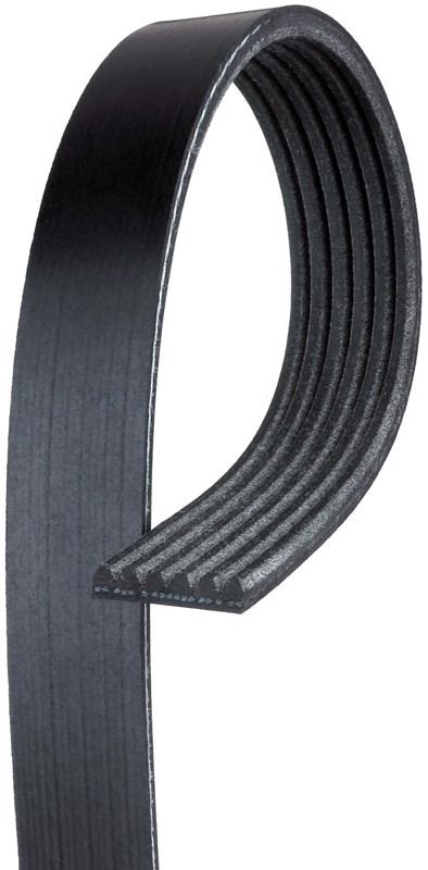 Serpentine Belt for BMW M3 Z3 Z4 Ford Ranger Freightliner Columbia ...