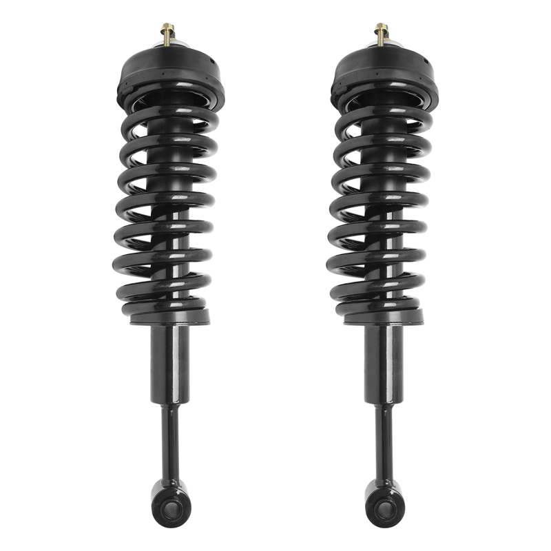 Front Pair Complete Strut and Coil Spring Assemblies for 2007-2010 Ford ...